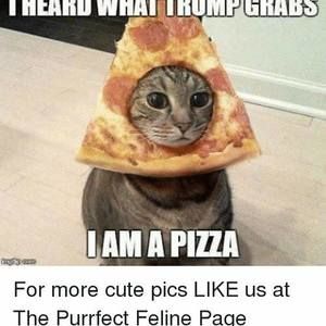 Meet your Posher, Eileen